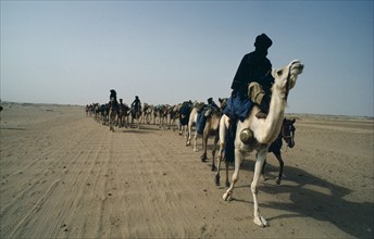 ALGERIA, General, Toureg Camel Train traveling through the desert.