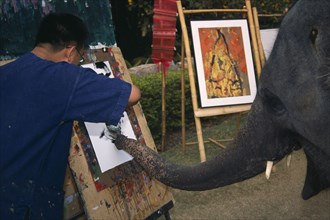 THAILAND, North, Chiang Mai, An elephant from Maesa Elephant Camp with his art teacher painting a