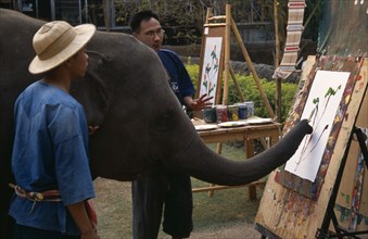 THAILAND, North, Chiang Mai, An elephant from Maesa Elephant Camp with his art teacher and handler