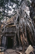CAMBODIA, Siem Reap Province, Angkor, Ta Prohm.  Doorway of twelth century Buddhist temple amongst