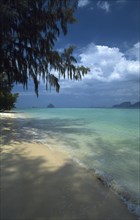 THAILAND, Krabi, Koh Rok, Deserted casuarina tree lined beach
