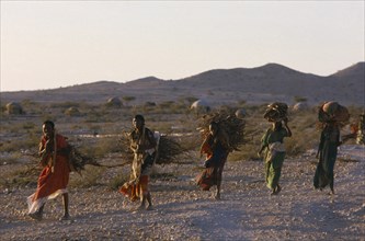 SOMALIA, Gannet, Line of five women carrying bundles of firewood in rural area.