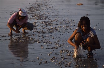 THAILAND, Krabi, Koh Lanta Yai, Klong Dao beach two women collecting shellfish at low tide