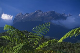 MALAYSIA, Borneo, Sabah, Mount Kinabalu.  Granite peak rising from national park with tree ferns in
