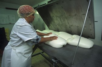 SOUTH AFRICA, Western Cape, Paarl, Female worker preparing goats milk for processing in to cheese