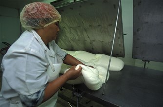 SOUTH AFRICA, Western Cape, Paarl, Female worker preparing goats milk for processing in to cheese