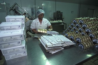 SOUTH AFRICA, Western Cape, Paarl, Female worker packing goats cheese at Fairview goats cheese and