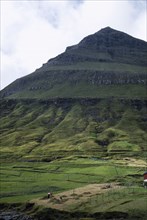 DENMARK, Faroe Islands, People working in hay field on lower slopes of steep pointed hillside.