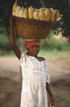 GHANA, Portraits, Young girl carrying large basket of maize on her head.