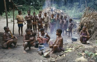 CONGO, Ituri Forest, Pygmies.  Extended family group.
