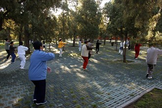 CHINA, Beijing, Group of people doing Tai Chi in the park