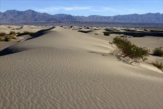 USA, California, Death Valley, View over sand dunes in the desert landscape with a rocky horizon in