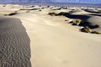USA, California, Death Valley, View along the ridge of a sand dune in the desert landscape