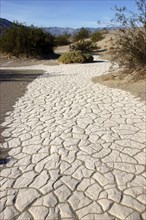 USA, California, Death Valley, Cracked rock pathway through the sandy desert