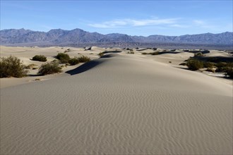 USA, California, Death Valley, View over sand dunes in the desert landscape toward rocky horizon