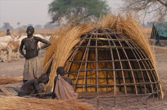 SUDAN, Tribal People, Dinka women thatching hut in cattle camp.