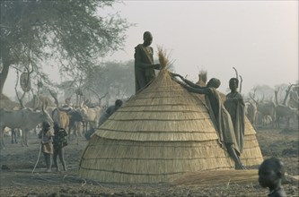 SUDAN, Tribal Peoples, Dinka women thatching hut in cattle camp.