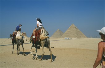 EGYPT, Cairo, Tourists on camels visiting the pyramids