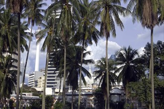 MALAYSIA, Kuala Lumpur, View through palm trees toward the city skyline and a telecom tower