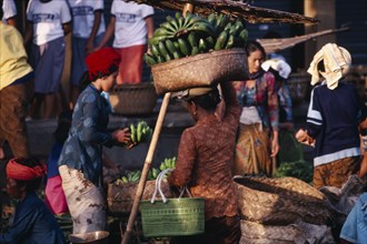 INDONESIA, Bali, Ubud, Early morning market.  Woman carrying large basket of green bananas on her