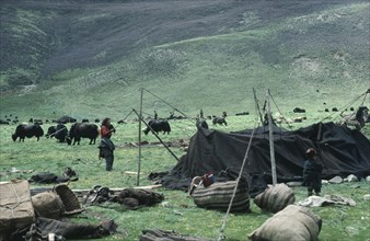 TIBET, Nomadic People, Tibetan nomads erecting tent at new yak camp