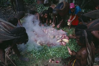 INDONESIA, Irian Jaya, Baliem Valley, Dani tribeswomen steaming sweet potatoes in traditional oven