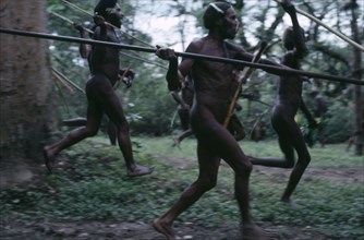 INDONESIA, Irian Jaya, Baliem Valley, Dani tribal warriors recreating battle  with spears.