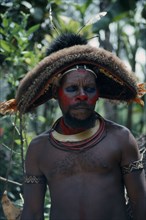 PAPUA NEW GUINEA, Southern Highlands, Tari Valley, Huli tribesman wearing day wig.