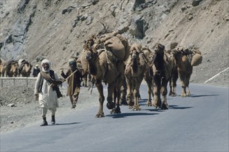 AFGHANISTAN, Transport, Camel train