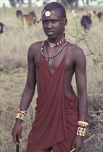 KENYA, Kajiado, Portrait of a Maasai Moran or young Maasai warrior amidst his familys herd of