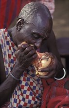 KENYA, , A maasai elder bites into a large beef bone during an initiation ceremony  which brings
