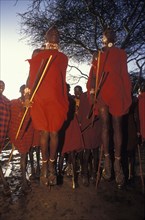 KENYA, Kajiado, Maasai moran measure each others capacity to jump springing from a standing start.