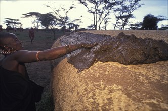 KENYA, Kajiado, A Maasai woman covers her hut with cow dung which has the effect of waterproofing