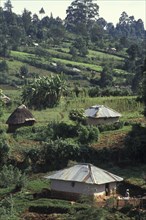 KENYA, Near Eldoret, Shamba or farms in the hills