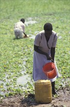 KENYA, , A woman collecting water from a lake source. Contaminated water sources are the leading