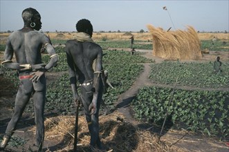 SUDAN, Farming, "Dinka men contemplating field of tobacco, the only crop grown during the dry