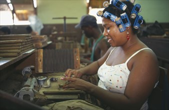 CUBA, Havana, Female worker with her hair in curlers rolling cigars in factory.