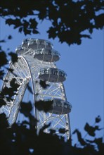 ENGLAND, London, View of the London eye Millennium Wheel framed by trees