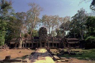 CAMBODIA, Angkor, Ta Prohm 12th century Temple ruins
