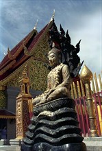 THAILAND, Surat Thani, Seated Buddha statue outside elaborately decorated temple