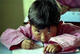 INDIA, Sikkim, Rumtek, Young Tibetan refugee child in class