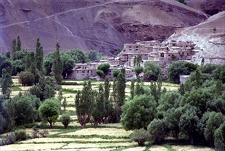 INDIA, Ladakh, Kargil, View toward small village not far from the township