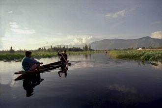INDIA, Kashmir, Srinagar, Nagin Lake. Two men in a canoe rowing with a single oar