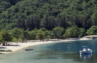 HAITI, North Coast, Labadie, Quiet sandy beach and tree covered backdrop.