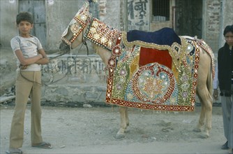 INDIA, Rajasthan, Jaipur, Boy holding pony wearing highly decorated saddle cloth and bridle in