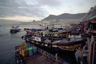 SOUTH KOREA, Pusan, Central Pusan, Chagalchi Fish Market with moored fishing boats
