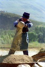 CHINA, Yunnan, Lijiang, Woman pouring grain that she has ground in a ceramic dish
