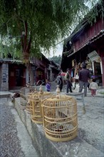 CHINA, Yunnan, Lijiang, Row of birds in cages in the street outside a bird shop