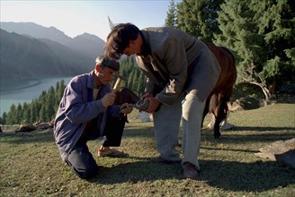 CHINA, Xinjiang, Tianchi, Heavenly Lake. Two men shoeing a horse near the lakeside