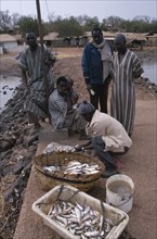 GAMBIA, Industry, Fishing, Fishermen on Gambia river quayside selling freshly caught fish